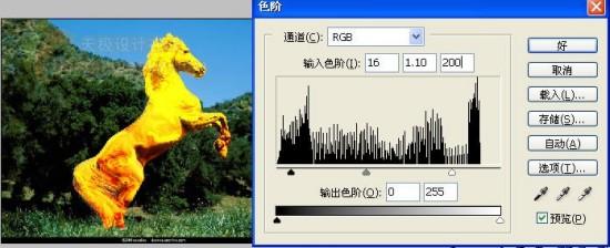 滤镜制作前蹄跃起的金色俊马