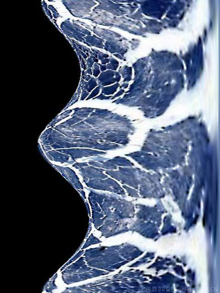 img200602131238480-5