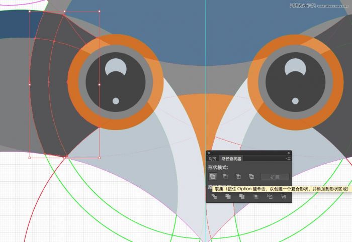 Illustrator使用圆形工具绘制猫头鹰形象,PS教程,思缘教程网
