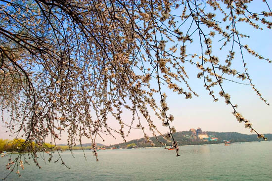 给复杂照片更换背景的PS教程