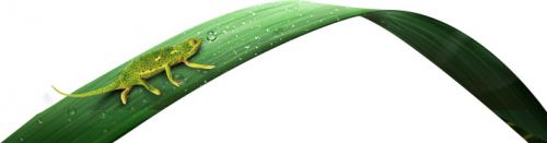 EC211140138