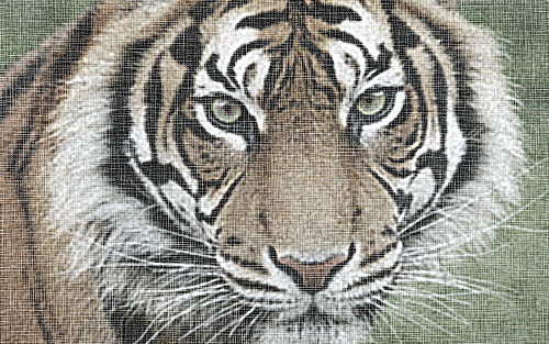 PS滤镜制作布纹效果的老虎图片