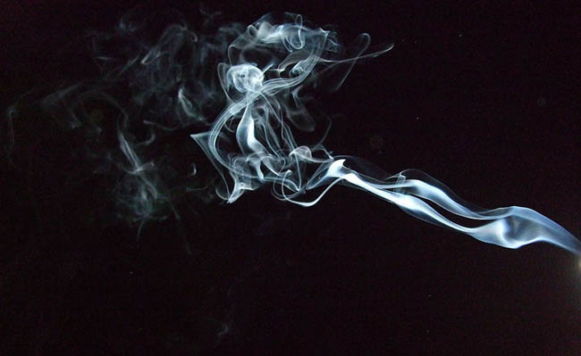 用PS制作火焰燃烧的玫瑰花图片效果