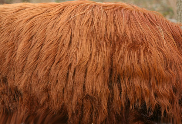 制作可爱独眼毛绒娃娃图片的PS教程