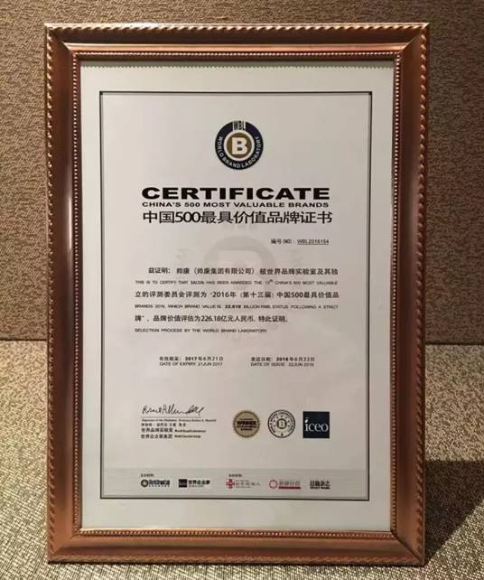 说明: 帅康2016年 中国500最具价值品牌 .webp