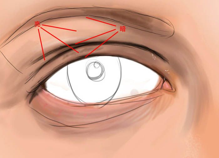 ps鼠绘逼真细腻真人眼睛图片的详细步骤
