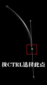 PS鼠绘路径描边的抽象蜂鸟图片