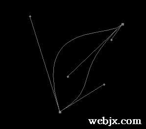 Photoshop鼠绘造型漂亮的花朵图案