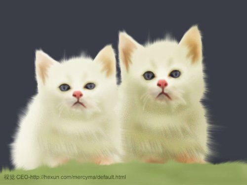 photoshop如何鼠绘两只可爱的白色猫咪图片