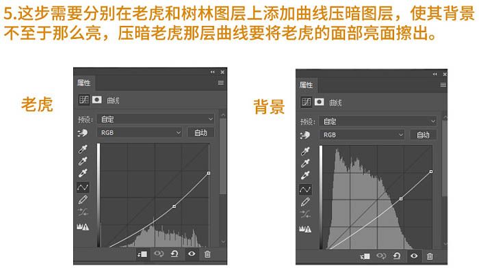 PS合成夜色森林中的美女与野兽场景图片