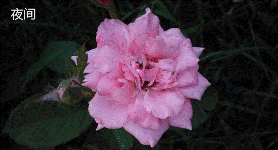 说明: 图片2_看图王