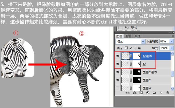 合成另类创意斑马象图片的PS教程