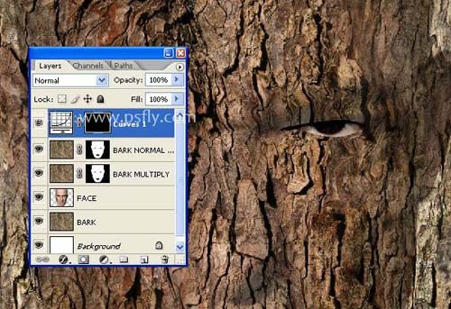 合成恐怖树皮头像图片效果的PS教程