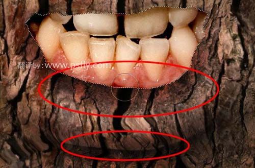 合成恐怖树皮头像图片效果的PS教程