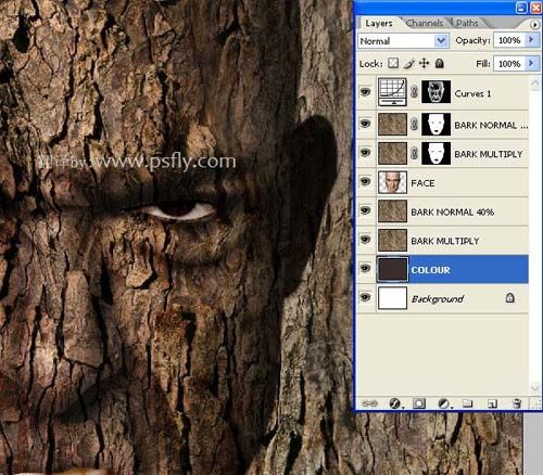 合成恐怖树皮头像图片效果的PS教程