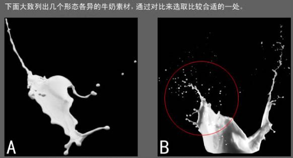 怎样合成动感牛奶花朵图片的PS教程