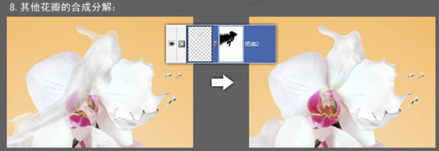 怎样合成动感牛奶花朵图片的PS教程