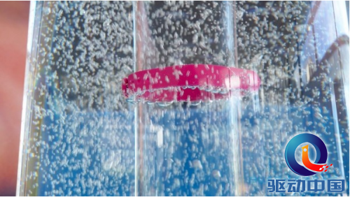 QQ截图20160830155657