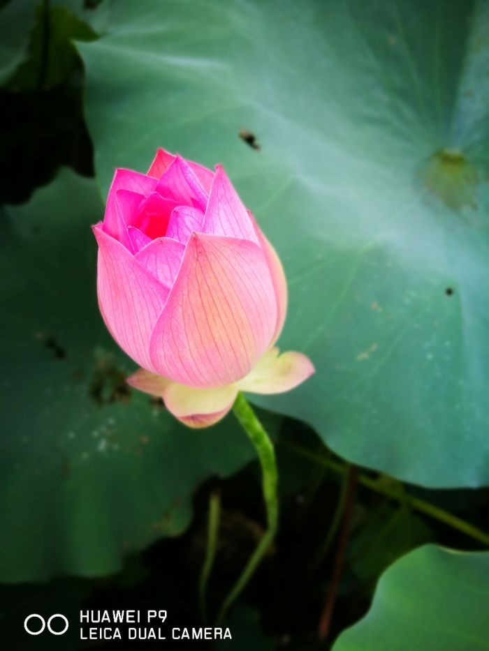 image005.jpg
