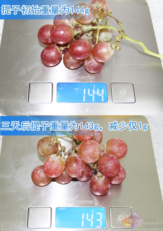 大闸蟹到底死没死?