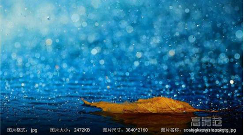 图片21.jpg