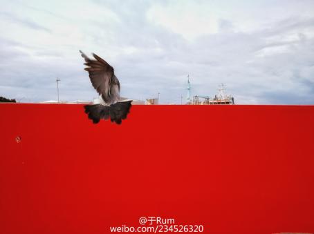 图片7.jpg