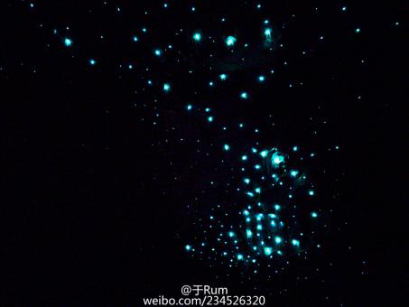 图片5.jpg