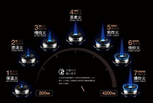 说明: C:\Users\admin\Desktop\图片\烟灶消\灶具\46eeb274-03c6-4540-a0d5-8559fcd4d0f2.jpg