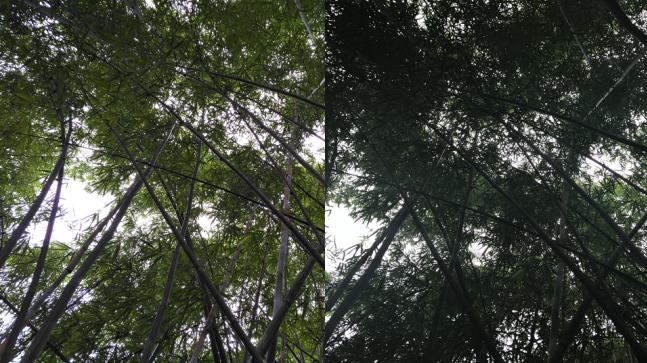 UEditor_snapScreen_tmp.jpg
