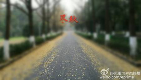 说明: http://upload.qudong.com/2016/1122/1479790949526.jpg