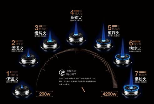 说明: C:\Users\admin\Desktop\图片\烟灶消\灶具\46eeb274-03c6-4540-a0d5-8559fcd4d0f2.jpg