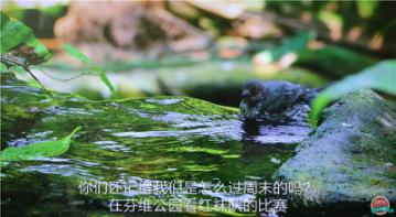 图片33.jpg