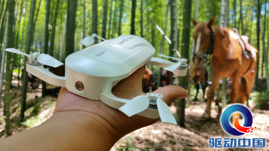 W020160625582862298782