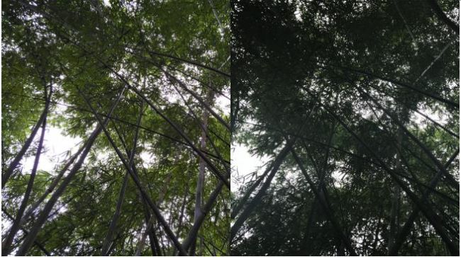 UEditor_snapScreen_tmp.jpg