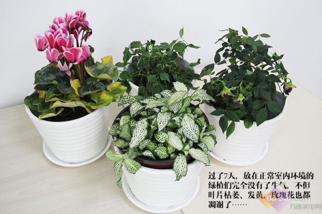 如何让一台冰箱成为你雾霾天的救世主 