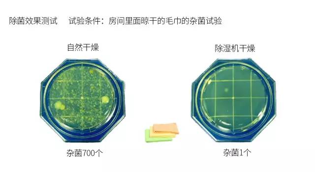 https://mmbiz.qlogo.cn/mmbiz_jpg/7EVgpwxZ7GCkicqAPaPUxx0Azp4sWB3lshu1t2wGcWiaeg0PsKV9EuNo7Eh18Xyy7ibQYtvoE81qql9B199aibVzSg/0?wx_fmt=jpeg