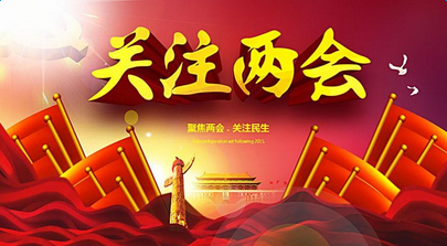 2017两会gdp_2017年人均gdp