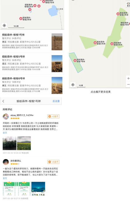 打开高德地图 “现场”看看你的蚂蚁森林