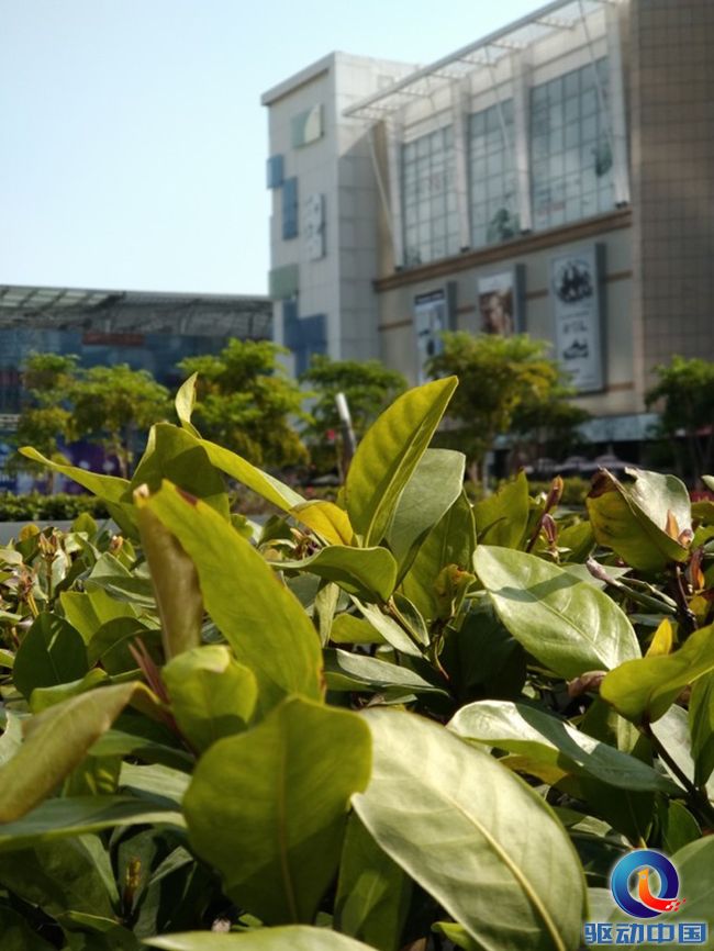 ChMkJ1hvYlmIIIa_AANmBM7r36QAAZJFwK08FQAA2Yc557