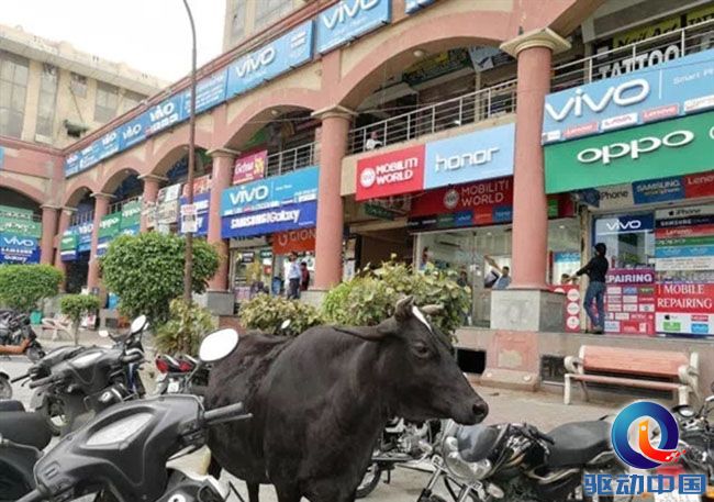 s_a7aefaef124f4fe896dd75b422c950fe