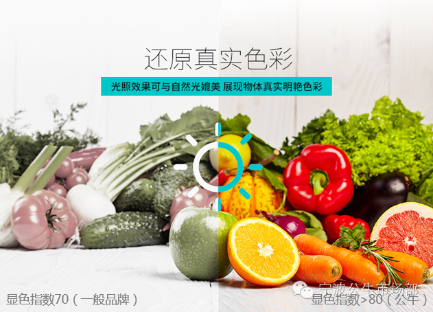 图片21