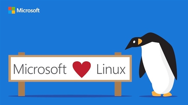 真爱！Linux子系统登陆Windows服务器