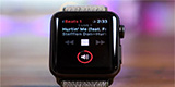 Apple Watch销量喜人！明年出货量或达2300-2500万块