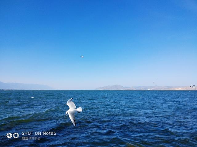 蓝S6、魅蓝Note6上手对比，看完决定过年买哪款