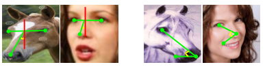 “兽工智能”之“猪脸识别???.png