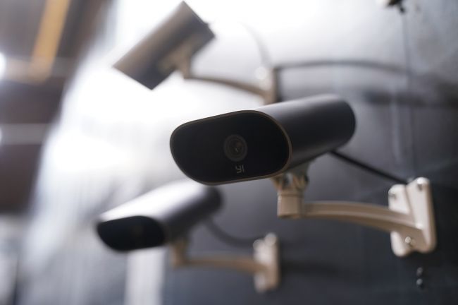 1530065931288993.jpg 7.jpg