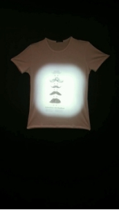 Ϊռƴഴ LightSceneͶӰ