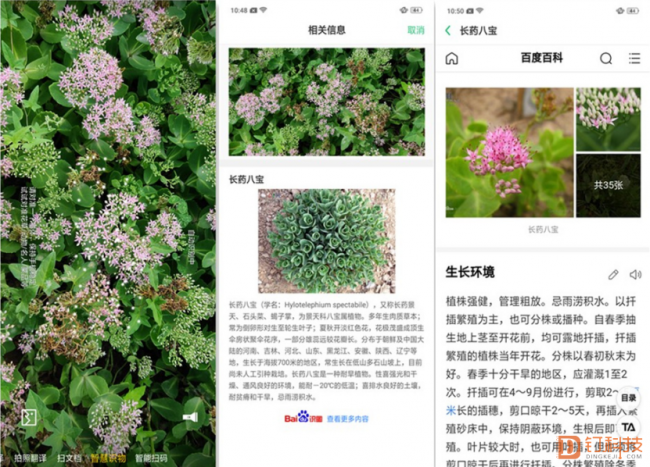 【钉科技07】OPPO Find X：内外兼修，告别千机一面2277.png