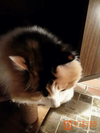 1534721570797054803.png image.png