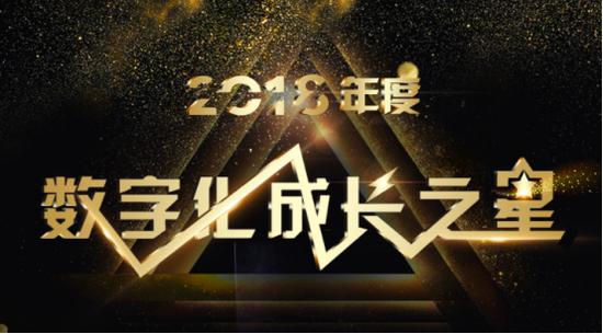 从粗放到精细 五大纬度成就&ldquo;数字化成长之星&rdquo;